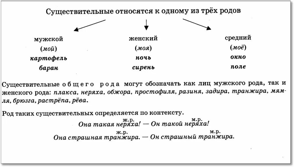 Назовите существительные общего рода. Существительные общего рода таблица.