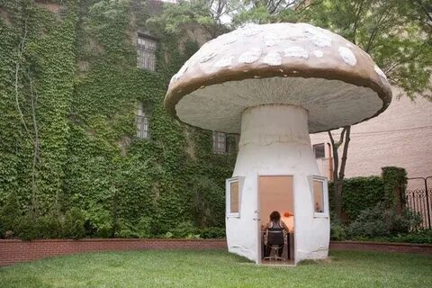 Mushroom building