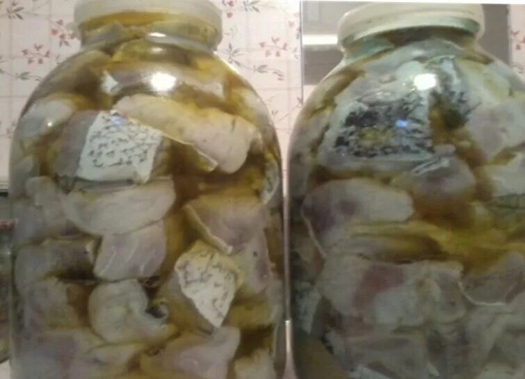 Как засолить толстолобика кусочками