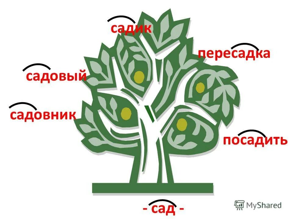 Сад садовник посадки садовый однокоренные слова. Сад садовник посадки садовый однокоренные слова