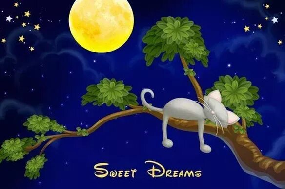 Sweet dreams alperen. Sweet Dream. Bonne nuit картинки смешные. Рисунки на тему доброй ночи. Bonne nuit картинки красивые.