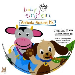 Animals around me