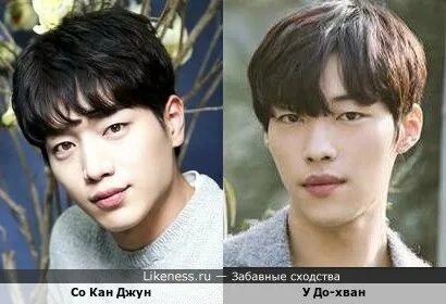 Похожая на джуну