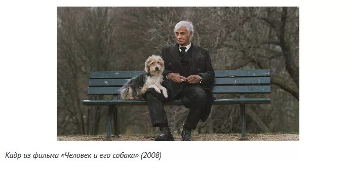 Бельмондо с собакой. Человек и его собака фильм 2008. Жан-поль бельмондо человек и его собака. Жан-поль бельмондо человек и его собака. Человек и его собака 2008.