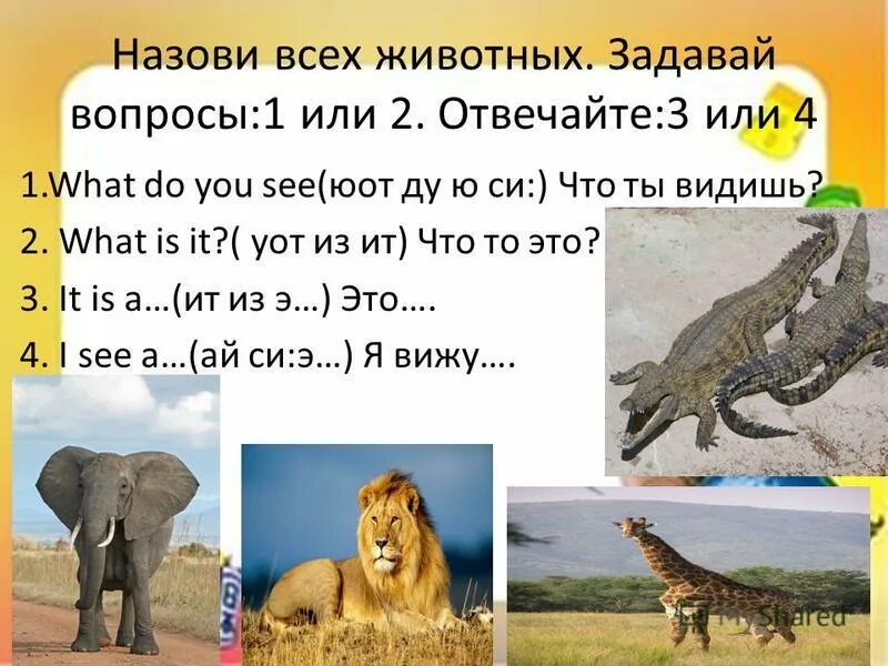 отвечает на вопрос кто или что. интересные вопросы для детей. вопросы про животных. какой вопрос задать животному.
