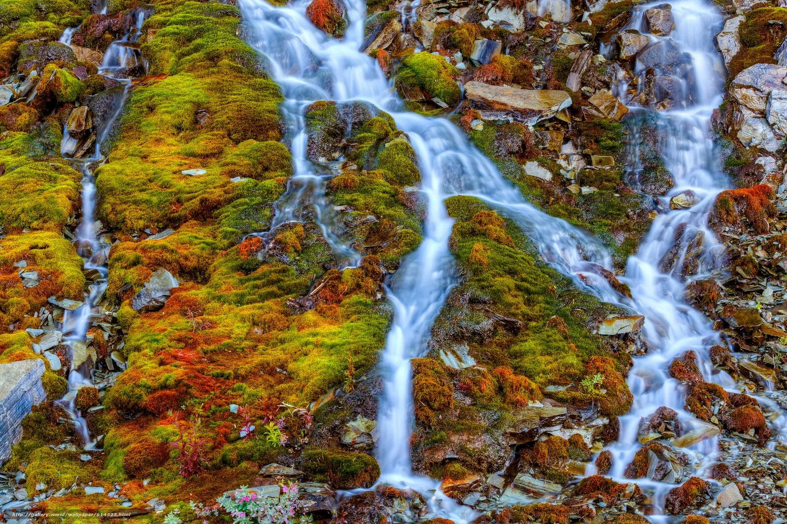 Маленький ручей. Ручей из скалы. Ручейки стекают. Водопад оселкового ручья. Ручейки стекают.