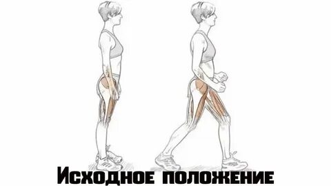 Хождение на ягодицах