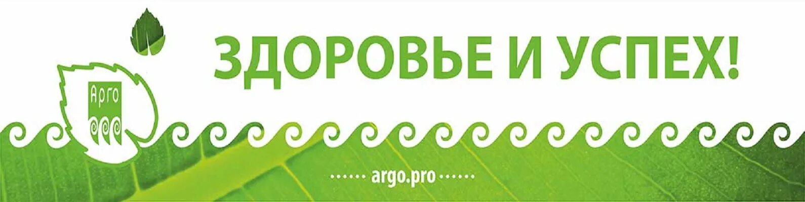 Сайт здоровье и успех. Сайт здоровье и успех. Обложка красота и здоровье. Компоненты зож. Фирма арго за компармя.