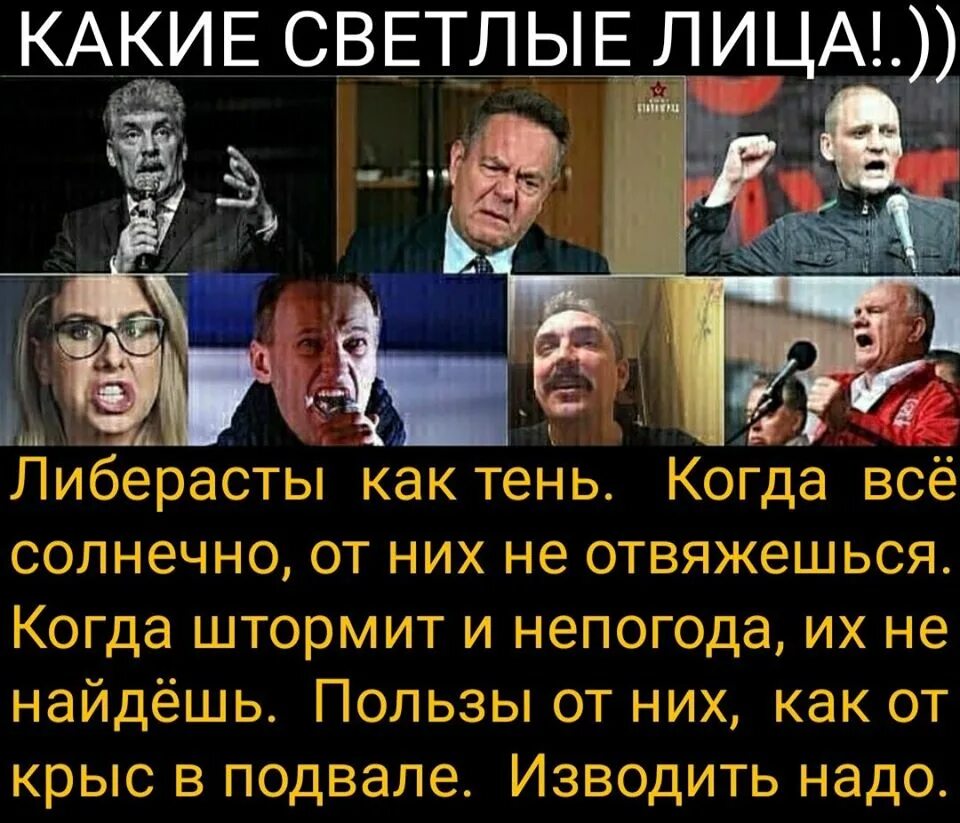 Либералы и либерасты. Либерасты России. Либерал и либераст. Либерасты карикатуры либерасты. Либералы кто они