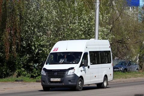 Луидор 225033