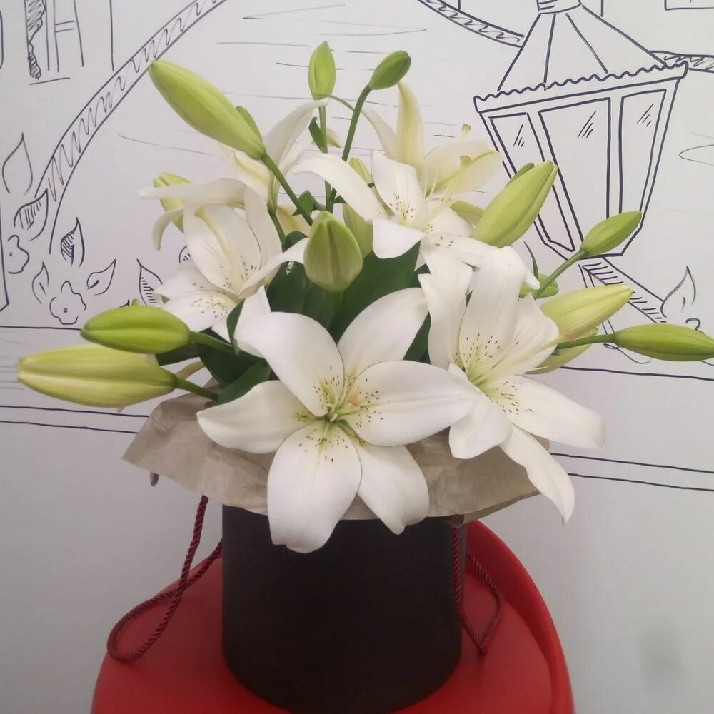 Коробка с лилиями. Лилия плод. Коробочки лилии. Орхидея в коробочке. Семенная коробочка ипомеи.