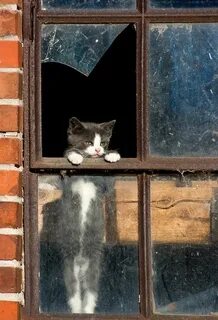 Окошко наступить