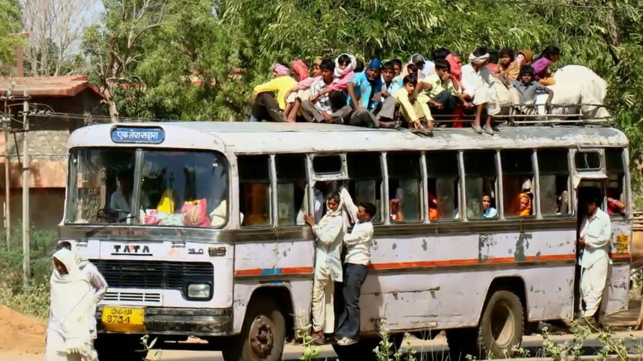 Funny bus