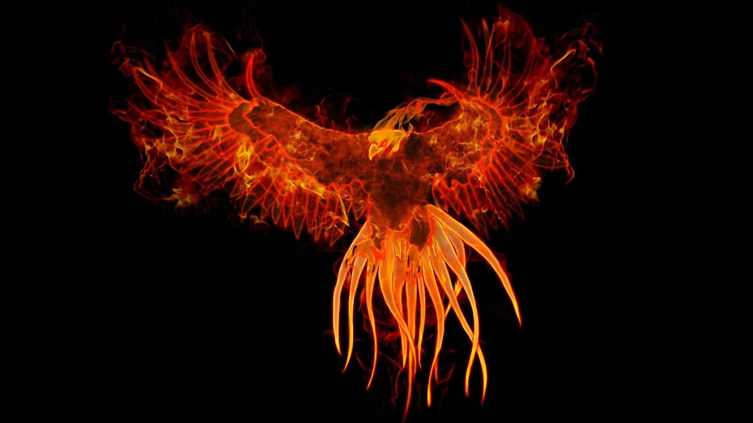 Phoenix parts. Fenix 184 184. филипа феникс. рарог сокол феникс финист. филипа феникс (philypa phoenix) филипа феникс.