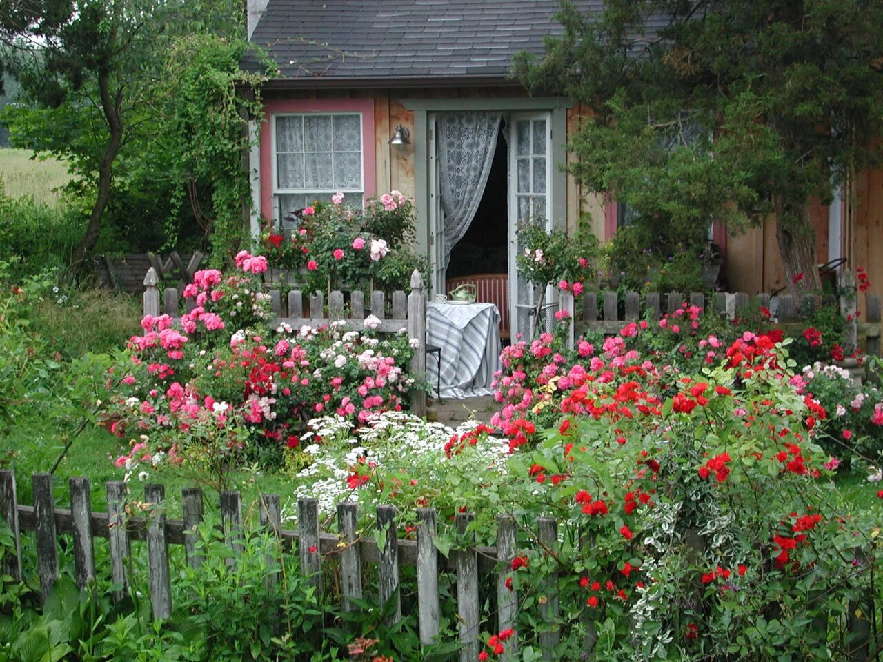 Дача люблю цветы. Палисад мальвы деревня. Палисадник перед домом Англия. Космея Бабушкин палисадник. Палисад Англия.