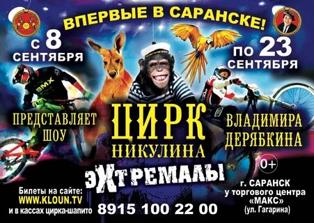 Белгосцирк минск афиша