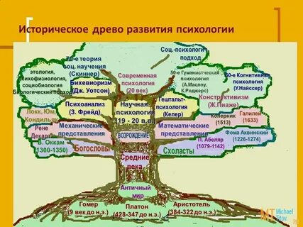 Дерево психологии