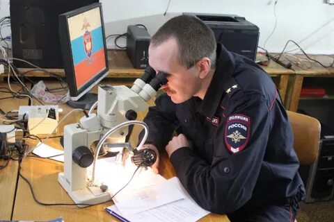 Экспертизы экц
