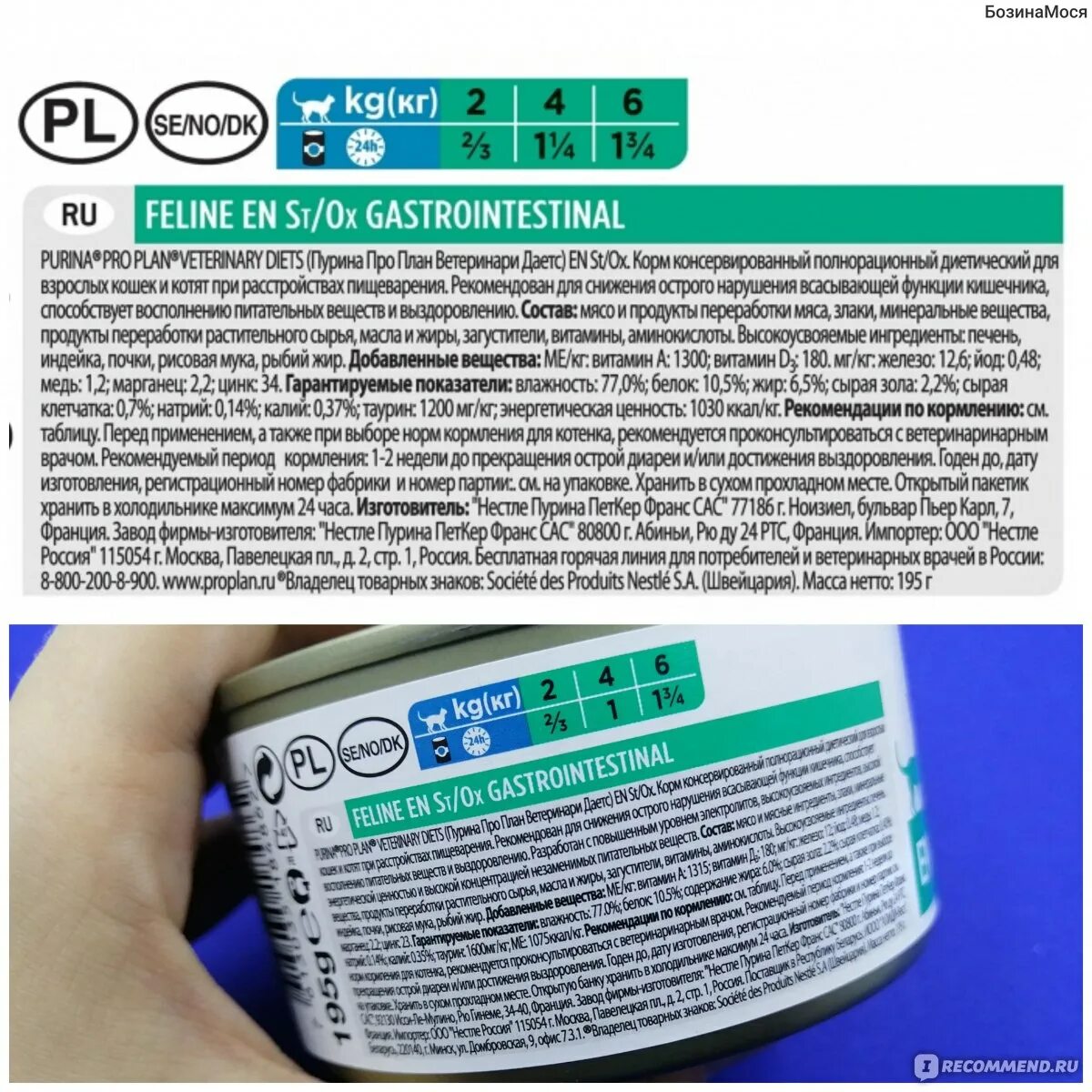 Pro Plan Gastrointestinal для кошек паштет. Пурина паштет гастро для кошек. Purina Gastro intestinal для кошек паштет. Паштет Проплан рекавери.