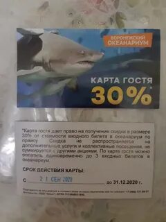 Океанариум воронеж расписание 2024