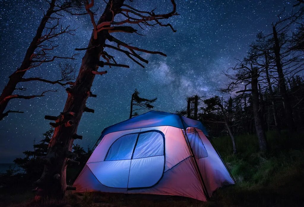 Sky camping. Палатка в лесу. Палатка фиолетовая. Палатка арт. Палатки для кемпинга.