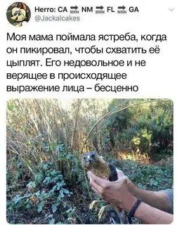 Ловлю маме