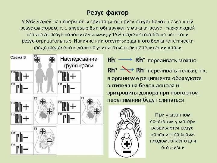 Резус фактор это признак. Наследование групп резус фактора у человека. Наследование по резус фактору. Резусфактор передаётся по наследству. Наследование группы крови по резус фактору.