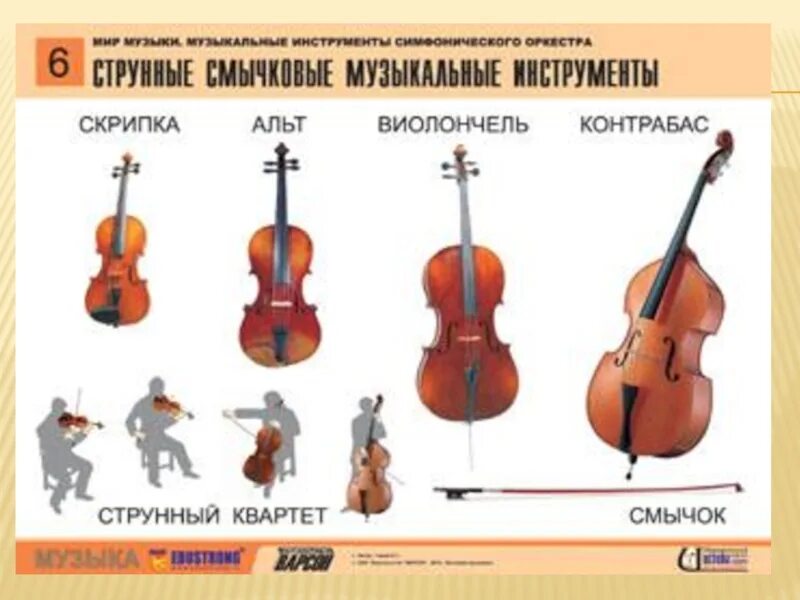 Струнно-смычковые инструменты симфонического оркестра названия. Струнно-смычковые инструменты симфонического оркестра. Альт струнные смычковые музыкальные инструменты. Рисунок струнно смычковые инструменты оркестра. Виды скрипичных