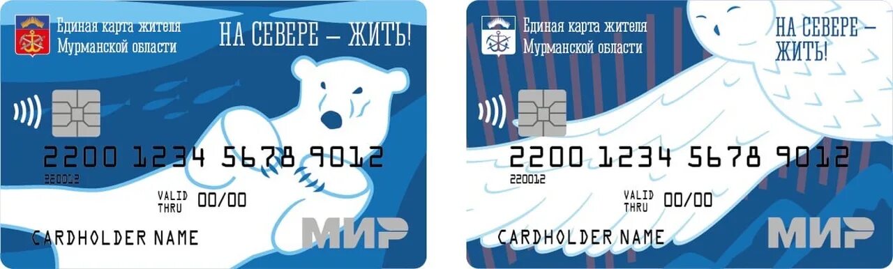 Карта мдц. Карта мдц