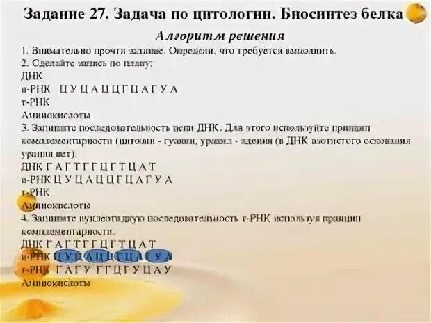 Задания 27 егэ биология