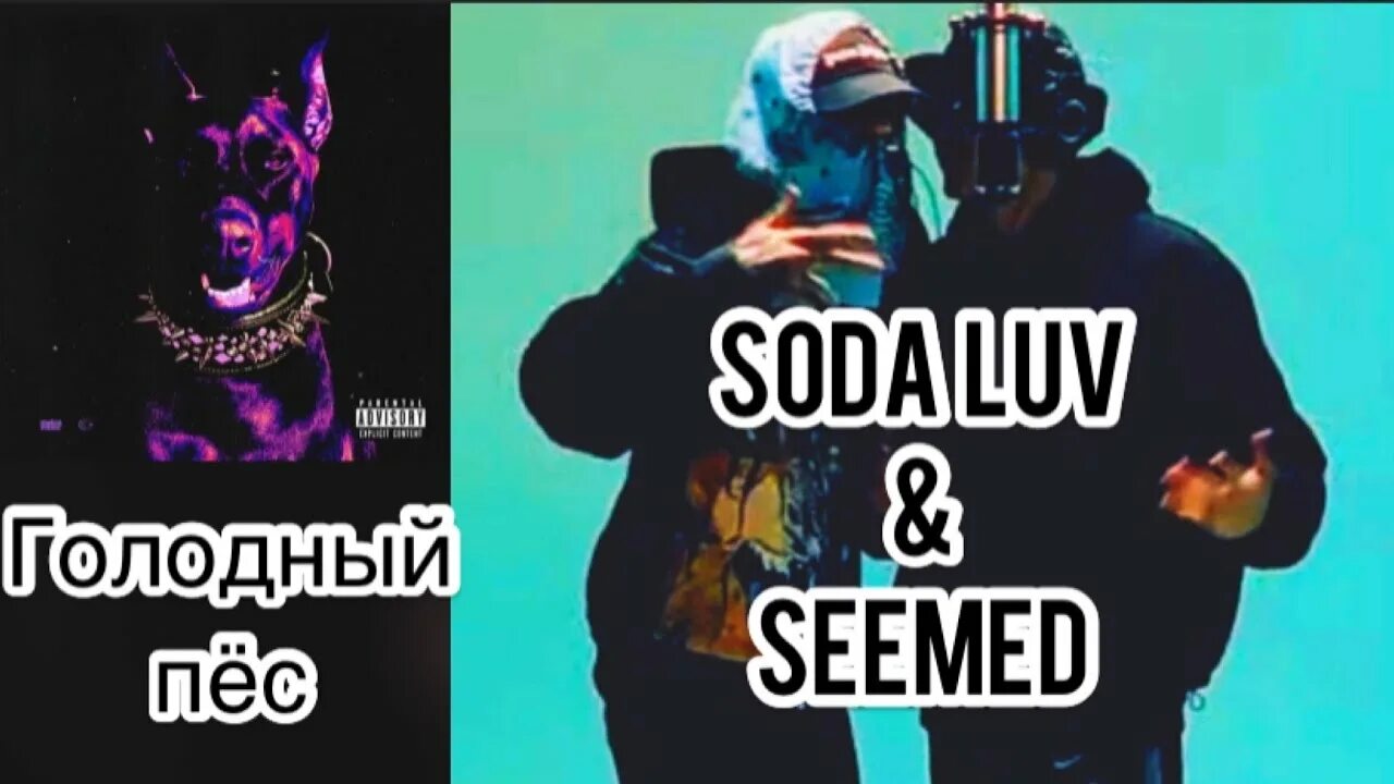 Seemee голодный пес. Голодный пёс Soda Luv. Текст песни голодный пес сода лав. Seemee голодный пёс. Голодный пёс Seemee текст.