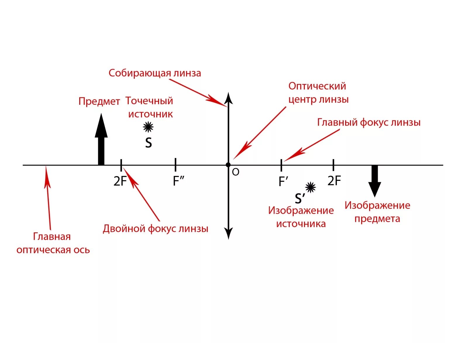 Найти оптический центр линзы и фокус. Основные точки и линии линзы. Основные точки и линии линзы физика. Точечный источник и линза. Назовите основные точки и линии линзы.