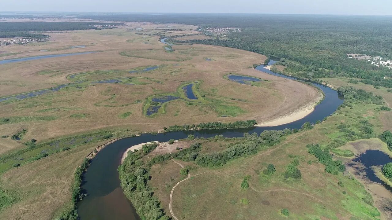 Уровень мокши сегодня