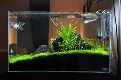Ada tank 360