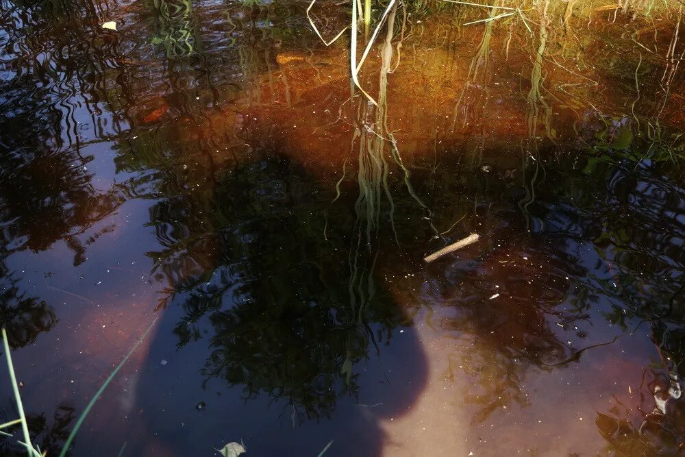 Где нашли мертвую воду. Мертвая вода. Мертвая вода фото. Родники живой и мертвой воды Рязанская область.