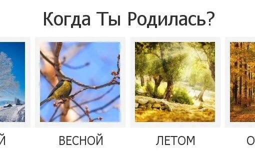 Что летом родится то зимой пригодится. Зима,весна,лето,осень. зима весна лето или осень. зимой весной и летом. когда ты рождения летом осенью зимой весной.