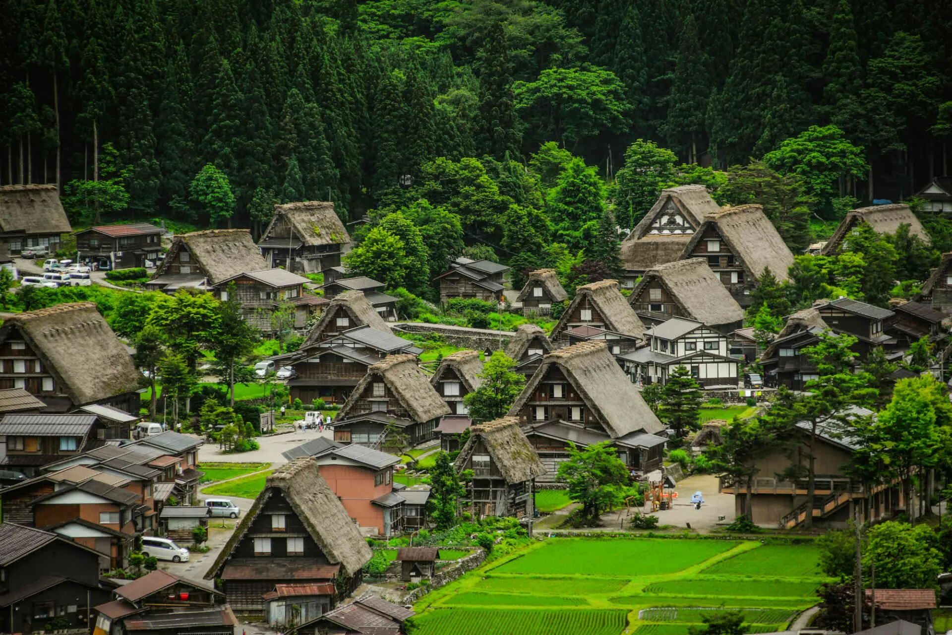 Japanese village. Деревня Гокаяма в Японии. Сиракава-го Япония. Деревня Сиракава в Японии. Сиракава-го и Гокаяма.
