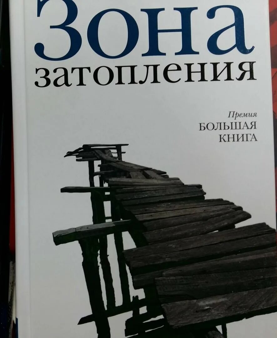 Сенчин зона затопления книга. Зона затопления книга. "зона затопления". Книга затопление. Книга затопление.