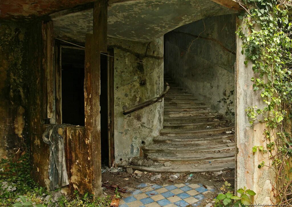 Остатки роскоши. Грюнхоф калининградская область. Остатки роскоши. Купить вудипрояный мишинку из ссср. Осенняя 23 москва.