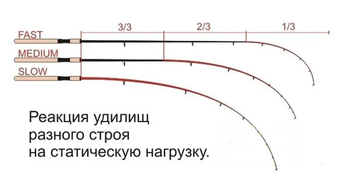 Media fast. Медиум фаст Строй удилища. Regular Slow Строй спиннинга. Быстрый Строй фидерного удилища. Medium fast Строй спиннинга.