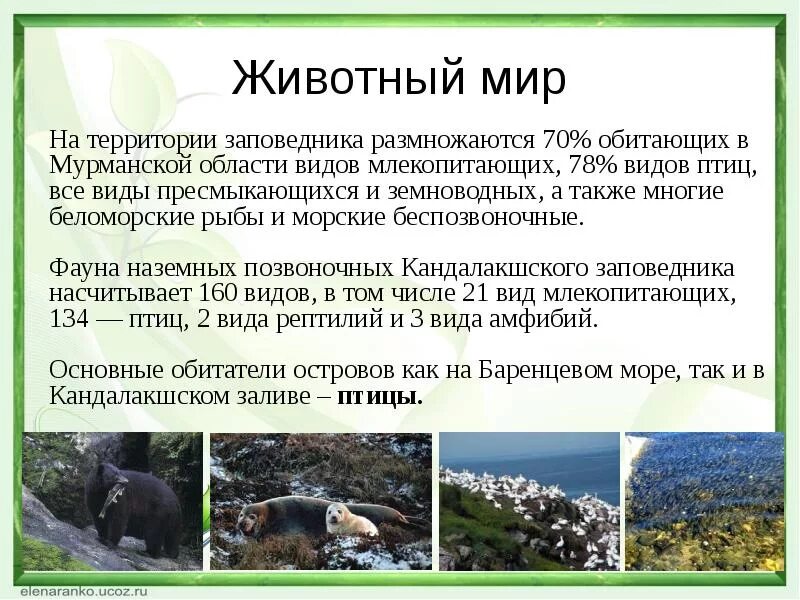 Охраняемые заповедники россии сообщение. Охрана природы заповедники. Заповедники презентация. Природа Мурманской области презентация. Заповедники России презентация.