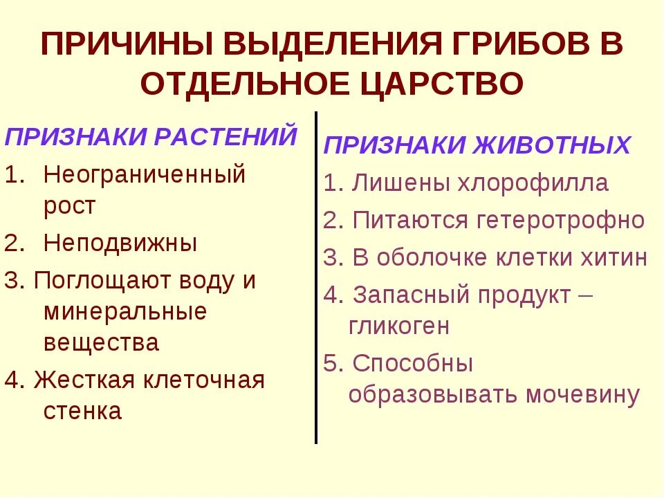 Растительные признаки грибов. Признаки растений и животных у грибов. Выделение у грибов. Признаки растений. Общие признаки грибов с растениями и животными.