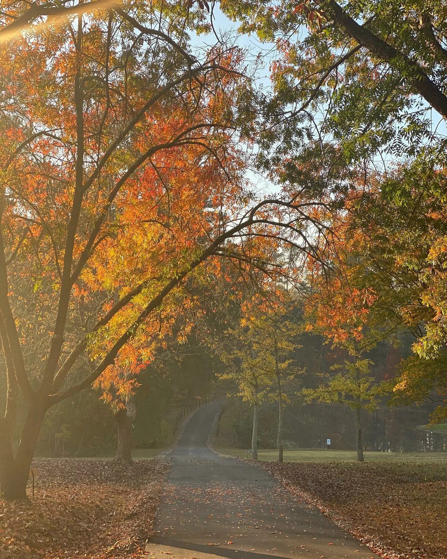 Friday on my mind poster 2017. Fall friday. Fall friday. Friday on my mind poster 2017. Autumn friday.