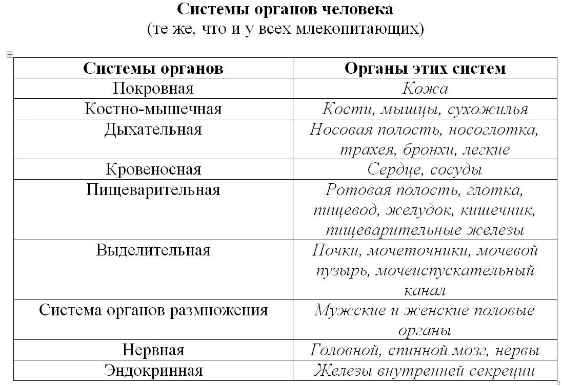 Какие признаки человека и животного общего. Общий план строения и процессы жизнедеятельности человека.. Сходства и различия человека и животного система органов. Сходства организма человека и животных. Черты сходства человека и животных таблица.