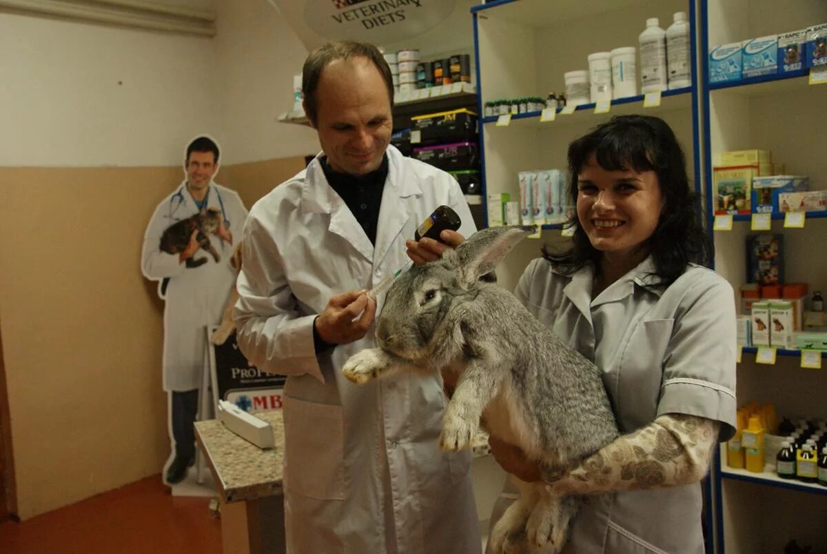 Заведующий пульмонологическим отделением. Кудрявцев николай сергеевич пульмонолог. Терапевт наталья дмитриевна фрязино. Аудиомед фрязино. Пульмоцентр казань гагарина врач хамитов рустэм фидагиевич.