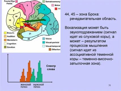 Зонами являются