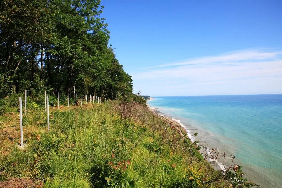 поселок сосновый краснодарский край. сосновый туапсе. поселок сосновый край. ольгинка поселок сосновый берег. снт сосновый край раменский район.
