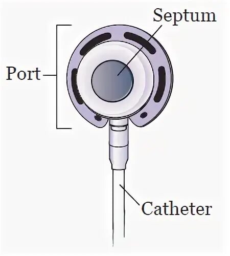 Your port