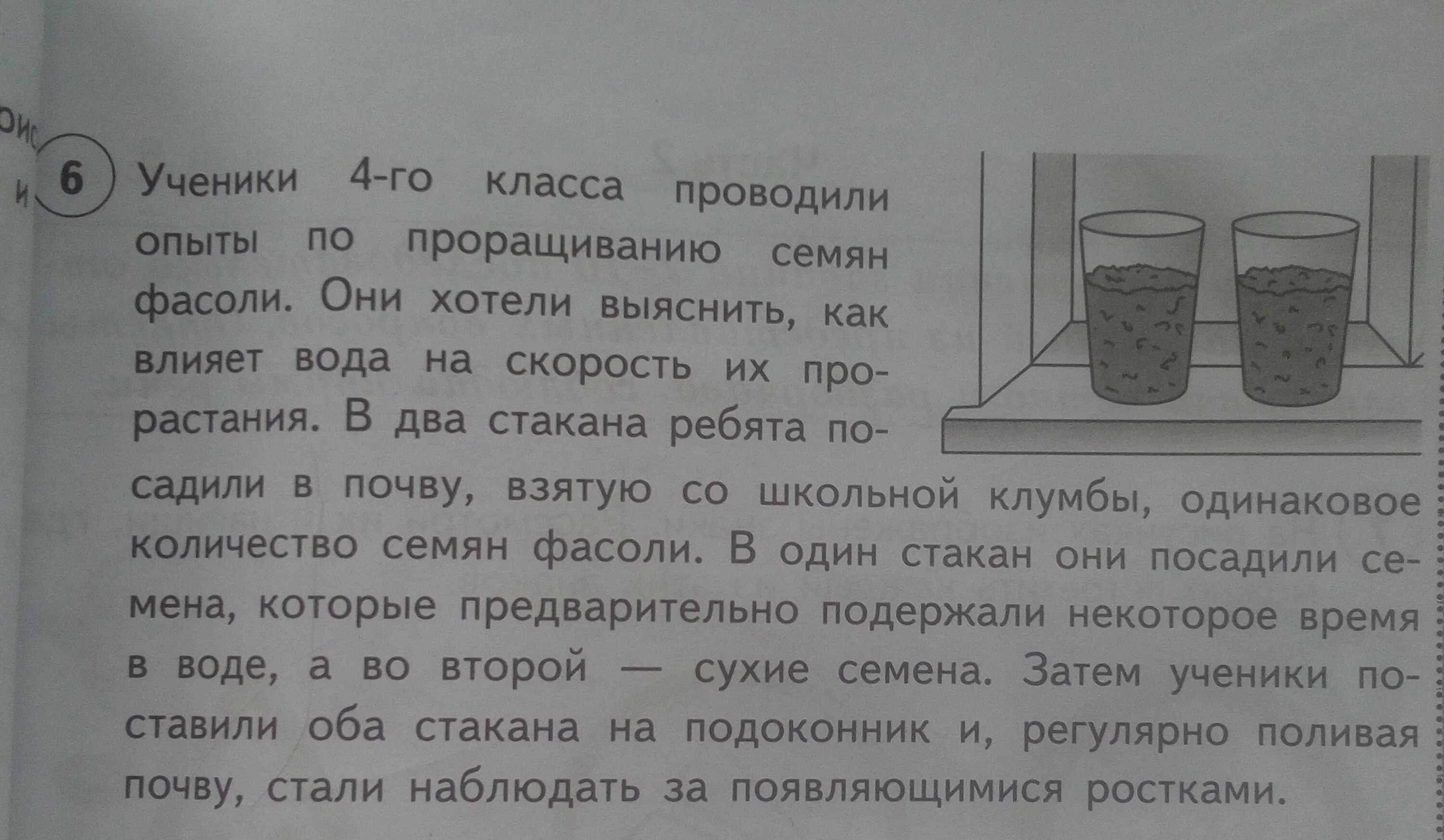 На открытом воздухе чай впр ответы. Ученики проводили опыты по проращиванию семян. Если бы ученики захотели выяснить влияет ли. Ученики 4 класса проводили опыты семян. Опыты ВПР.