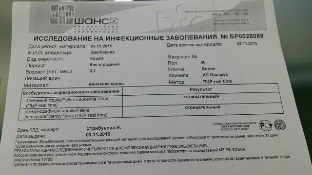 Где можно сдать анализы в омске. Где сдать анализ на коронавирус. Анализ на корону как делают.